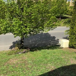 Meet your Posher, Georgia